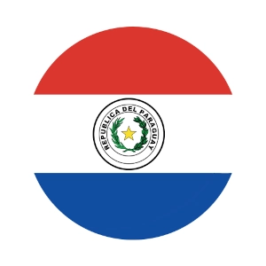 Bandeira Paraguai